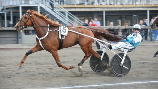 Foto: MALIN ALBINSSON/TR BILD