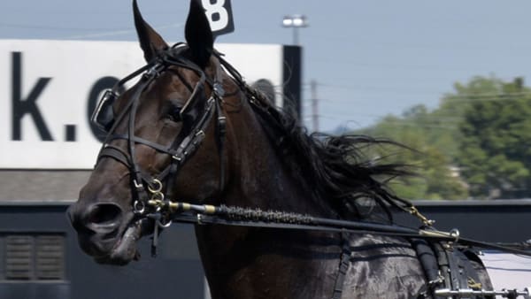 Foto: Stefan Melander/stalltz.se