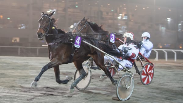 Foto: MIKAEL ROSENQUIST / TR BILD