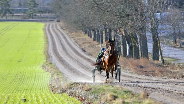 Foto: MATILDA ÖHRMAN / TR BILD