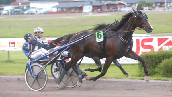 Foto: MICKE GUSTAFSSON/ALN