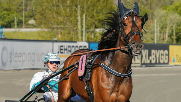 Foto: LENA EMMOTH / TR BILD