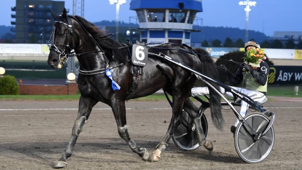 Foto: MALIN ALBINSSON / TR BILD