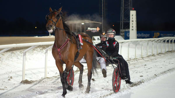 Foto: MIKAEL ROSENQUIST / TR BILD