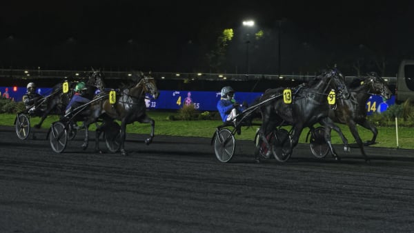 Foto: JEAN-LUC LAMAERE/LETROT