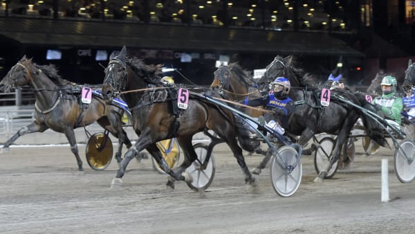 Foto: LARS JAKOBSSON / TR BILD