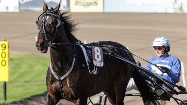 Foto: LENA EMMOTH / TR BILD