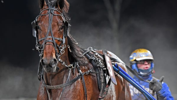 Foto: MALIN ALBINSSON / TR BILD