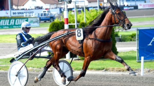 Foto: MARTIN LANGELS/ALN