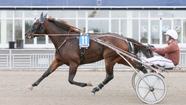 Foto: JEANNIE KARLSSON