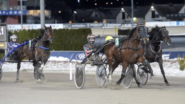 Foto: LARS JAKOBSSON / TR BILD