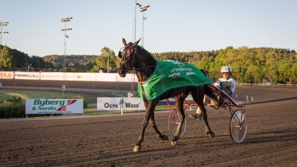 Foto: DAVID SCHREINER / TR BILD