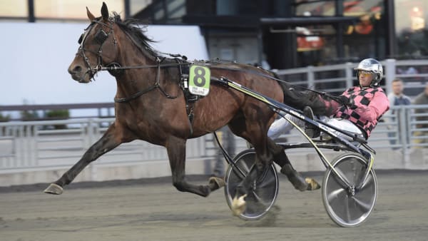 Foto: Lars Jakobsson/TR Bild