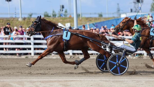 Foto: MAISA HYTTINEN/SUOMEN HIPPOS