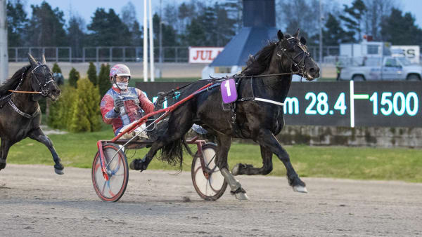 Foto: MORTEN SKIFJELD/HESTEGUIDEN