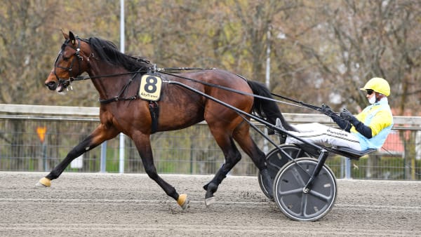 Foto: MALIN ALBINSSON / TR BILD