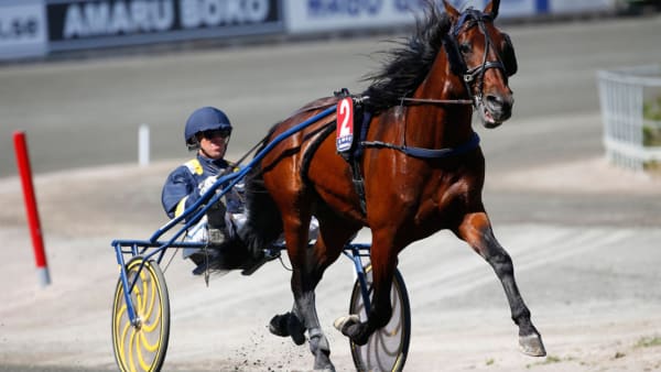 Foto: Micke Gustafsson