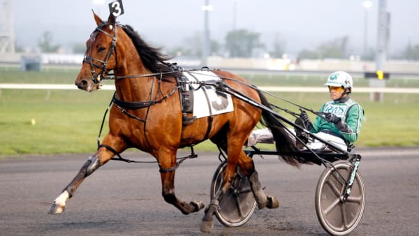 Foto: Micke Gustafsson