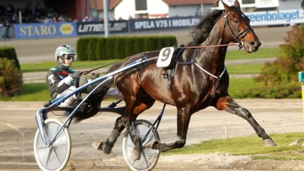 Foto: MICKE GUSTAFSSON/ALN