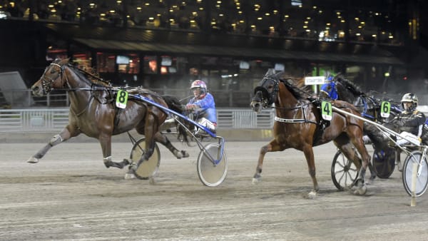 Foto: LARS JAKOBSSON / TR BILD