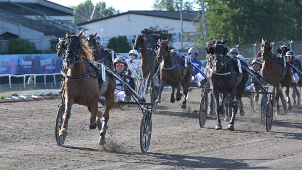 Foto: LARS JAKOBSSON / TR BILD