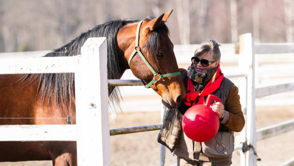 Foto: Emine Lundsten/Menhammar Stuteri