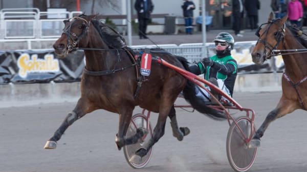 Foto: TOMMY ANDERSSON/ALN