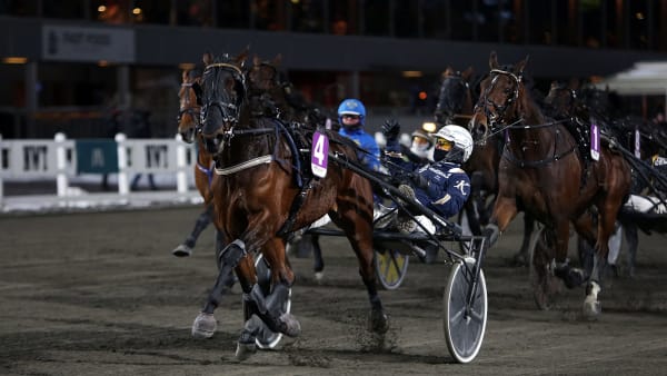 Foto: MATILDA ÖHRMAN / TR BILD