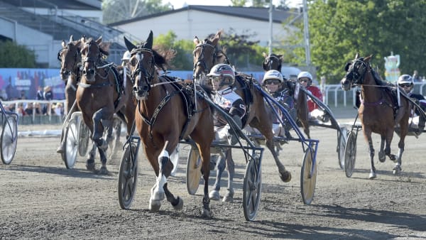 Foto: LARS JAKOBSSON / TR BILD