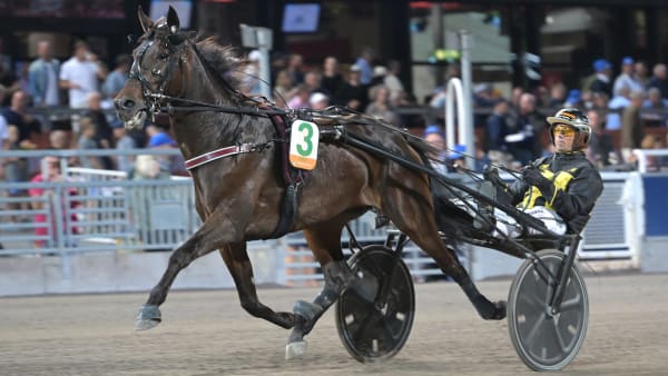 Foto: LARS JAKOBSSON / TR BILD