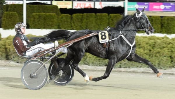 Foto: LEIF NORBERG/ALN