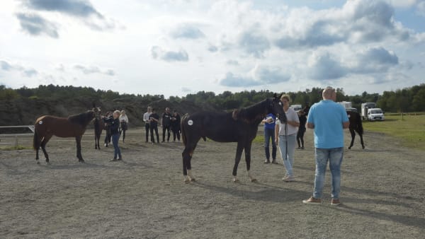 Foto: LARS JAKOBSSON / TR BILD