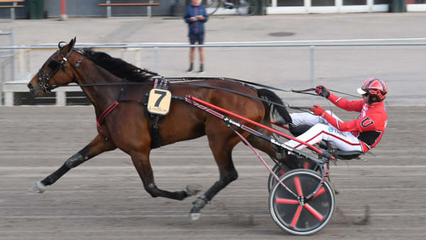 Foto: Lars B Persson.