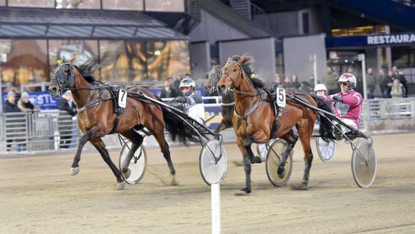 Foto: LARS JAKOBSSON / TR BILD