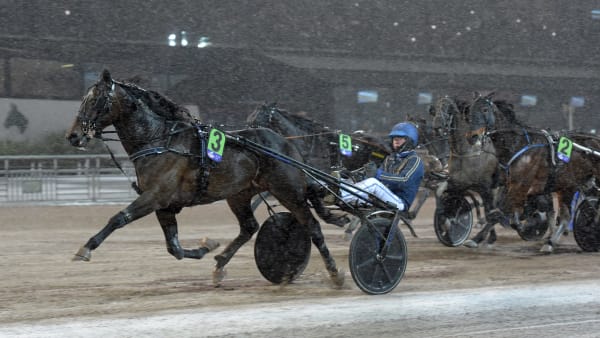 Foto: LARS JAKOBSSON / TR BILD