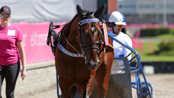 Foto: MATILDA ÖHRMAN / TR BILD