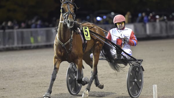 Foto: LARS JAKOBSSON / TR BILD