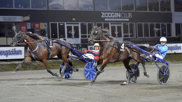 Foto: LARS JAKOBSSON / TR BILD