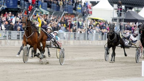 Foto: MICKE GUSTAFSSON/ALN