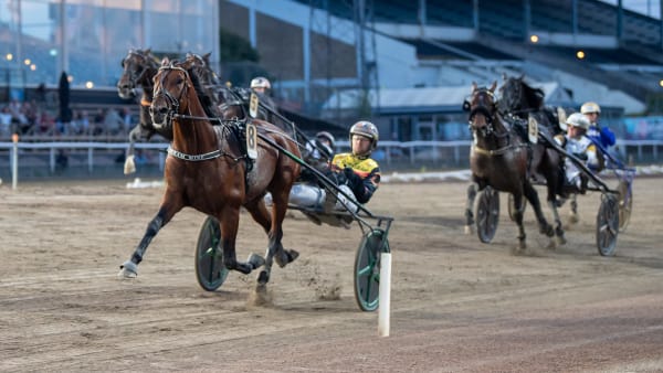 Foto: MIKAEL ROSENQUIST / TR BILD