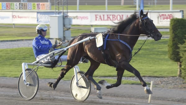 Foto: LARS JAKOBSSON / TR BILD