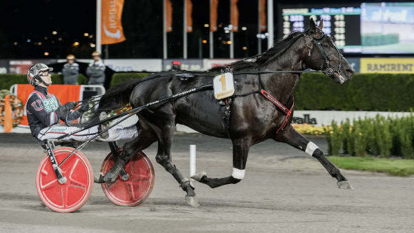 Foto: LENA EMMOTH / TR BILD