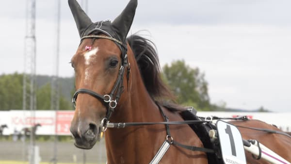 Foto: Leif Norberg/ALN