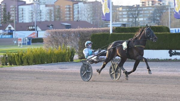 Foto: LARS JAKOBSSON / TR BILD