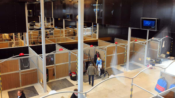 Foto: CLAES KÄRRSTRAND/TR BILD