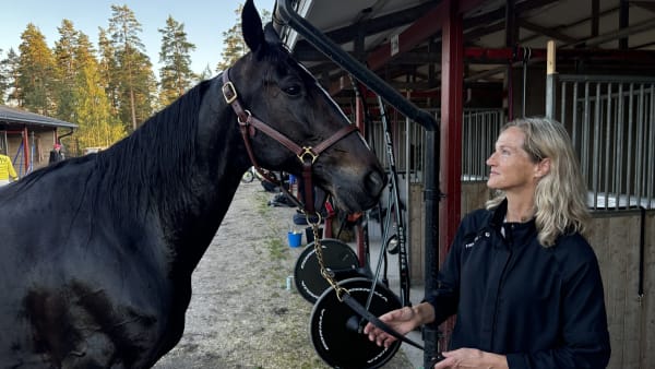 Foto: Emil Persson/TR Bild.