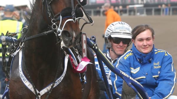 Foto: MICKE GUSTAFSSON/ALN