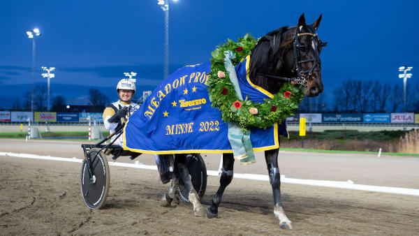 Foto: MIKAEL ROSENQUIST / TR BILD