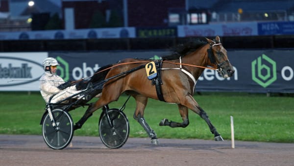 Foto: MATILDA ÖHRMAN / TR BILD