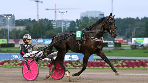 Foto: MARIA HOLMÉN / TR BILD